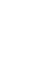 Skate